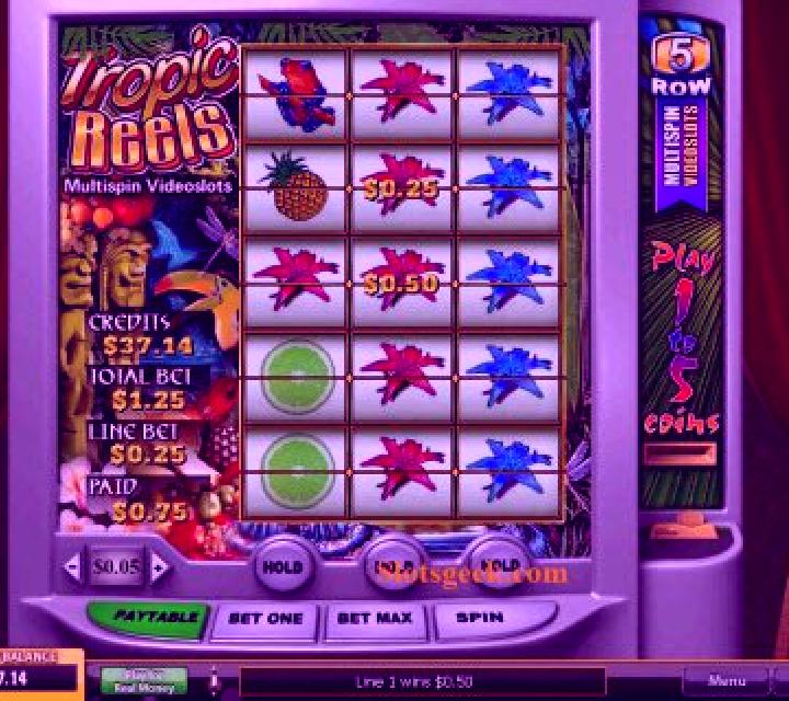 Tropic Reels online slot