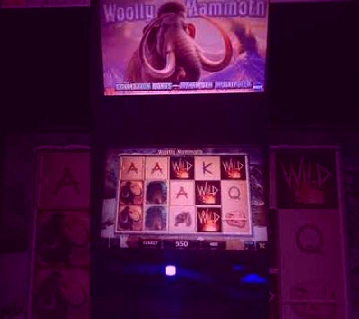 Twister Wilds slot game