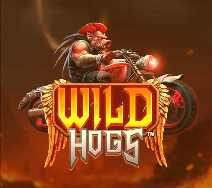 Vikings & Hogs slot