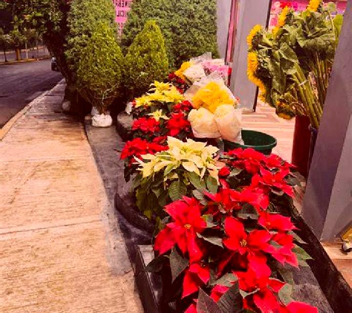 Wheel (LiveGames) slot game