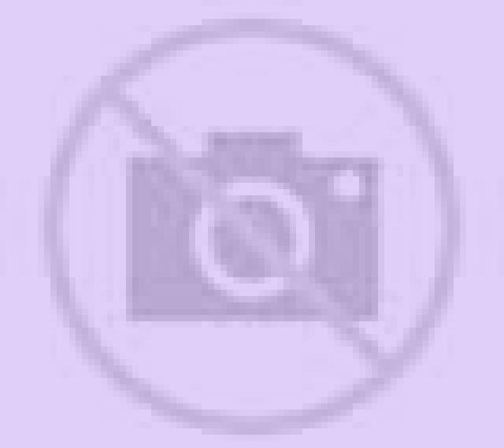 Wheel (Rocketpot Originals) slot game