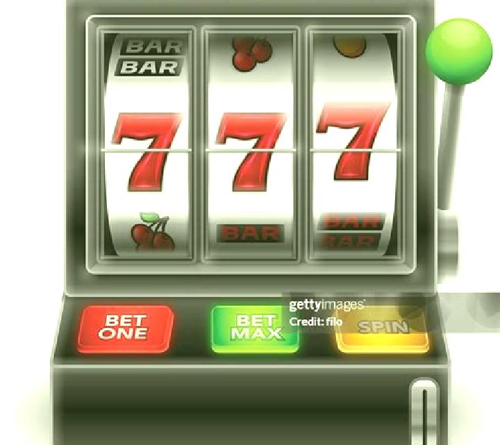 Wild Bingo slot game