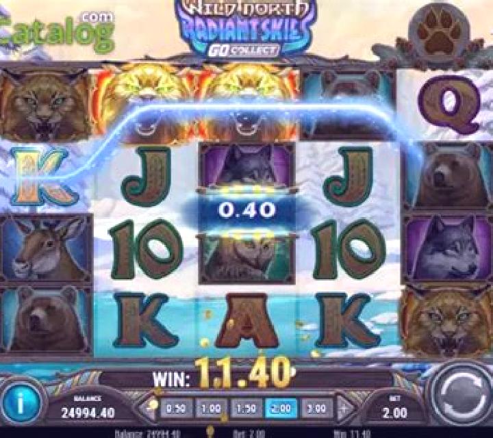 Wild North (Play’n Go) slot