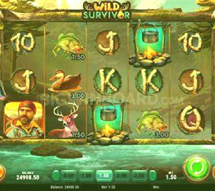 Wild Survivor slot