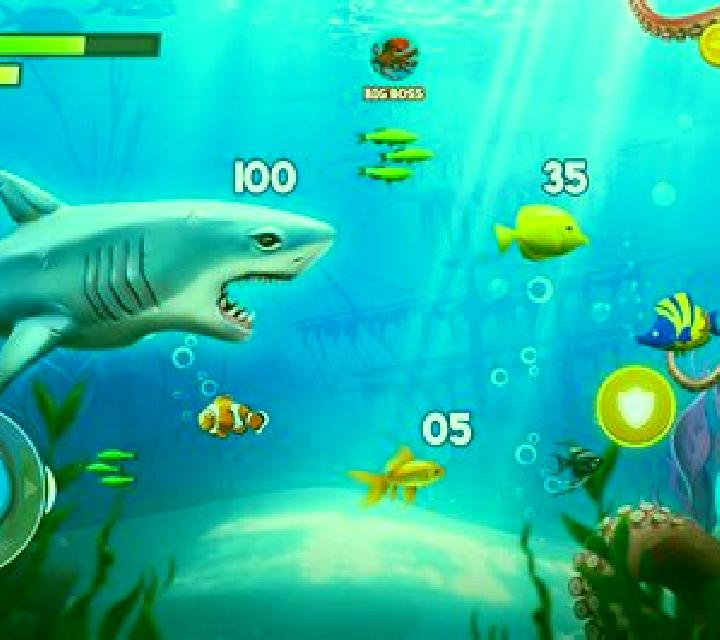 Z online slot